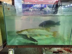 -布尔津河堤夜市