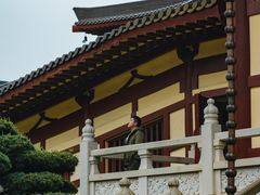 -庐山风景名胜区-东林大佛