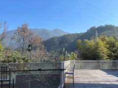 -原乡芦茨咖啡