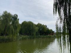 -大兴滨河森林公园