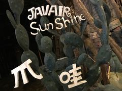 -爪哇空气酒吧
