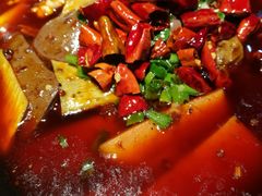 毛血旺-三俞竹苑(红旗街万达店)