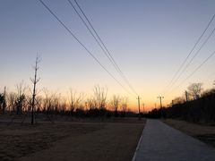 -西海子公园