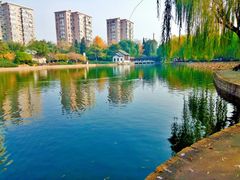 -团结湖公园