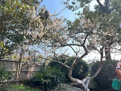 -雨花胜境