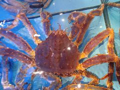 -阿伟海鲜楼·福建菜(延寿店)