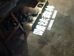 -咖法森林·咖啡  酒吧(天河店)