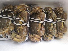 -七的湖·晚芳亭·阳澄湖农家菜·大闸蟹(莲花岛店)