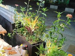 -木屋烧烤(龙岗龙城万科里店)