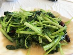 -泸沽肴(泸沽湖大洛水村农村信用社旁店)