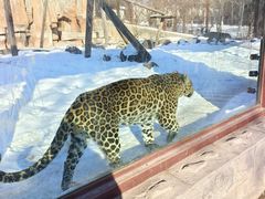 -沈阳森林动物园