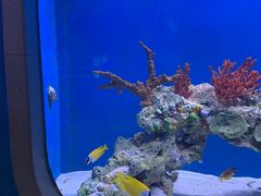 -海合安武汉极地海洋公园