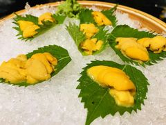 -九井澤精致料理(金茂店)