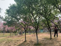 -火炉山森林公园