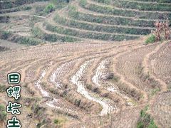 -南靖田螺坑土楼群景区