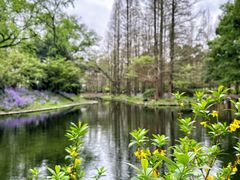 -上海共青森林公园