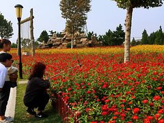 -羊亭河湿地公园