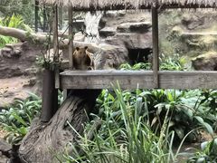 -费瑟代尔野生动物园