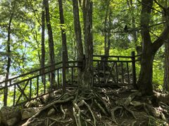 -王顺山国家森林公园