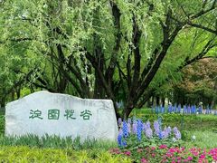 -海淀公园