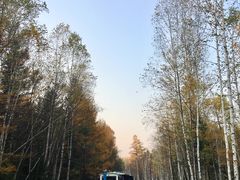 -五营红松林海景区