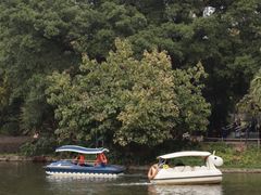 -晓港公园