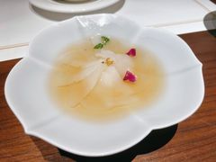深海带子-觀芷隐轩