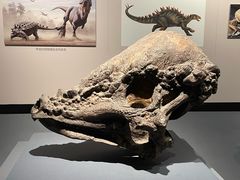 -自贡恐龙博物馆