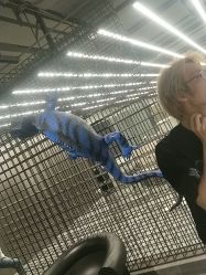 -斑斓色彩沙龙