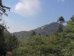 -木兰云雾山