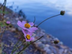 -丽江泸沽湖景区
