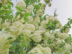 -大龙山(地铁站)