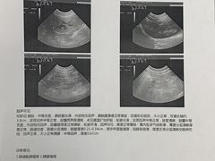 -纳吉亚猫专科动物诊疗中心(蒋宅口分院)