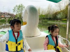 -合肥滨湖国家森林公园