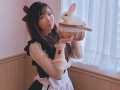 -猫猫幼稚园·撸猫·桌游·电玩