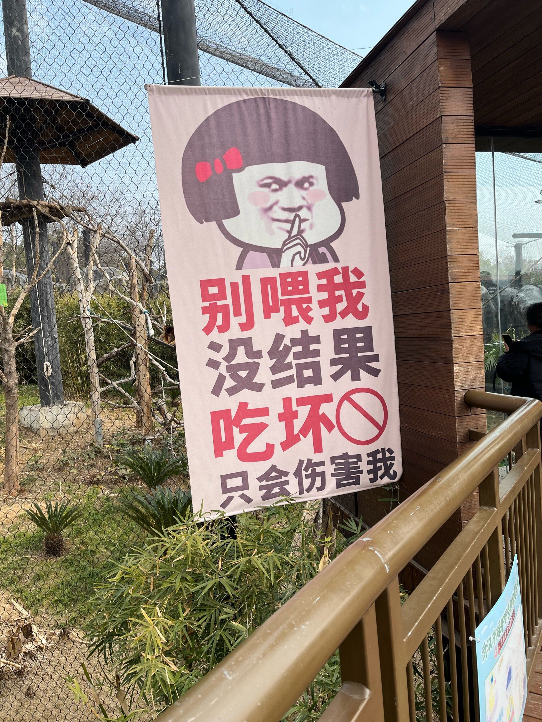 工作人员禁止投喂煞费苦心