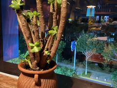 -么哈MOJAR(厦门云城万科里店)