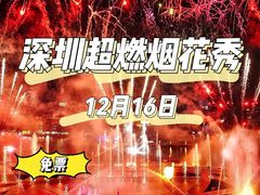 -欢乐海岸水秀剧场