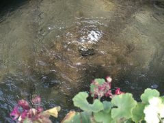 -泉乐坊步行街(烟酒特产平价超市店)