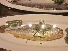 -莫山小馆(百花店)