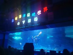 -泉城欧乐堡海洋极地世界