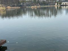 -武汉动物园