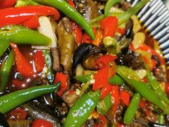 青椒烧鳝鱼-青城甲(青城山店)