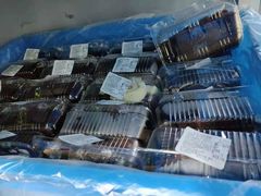 -来噻布布 Lets BUBU