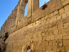 -上巴拉卡花园和下巴拉卡花园