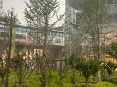 -回龙观体育文化公园