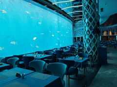 -瑞德姆美人鱼海底演艺主题餐厅(亚龙湾店)