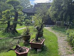 -木子山庄·安徽省老字号·中国炖锅宴