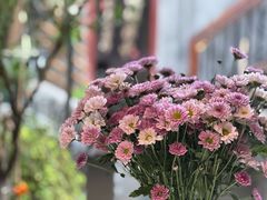 -后海16号·北京私房菜