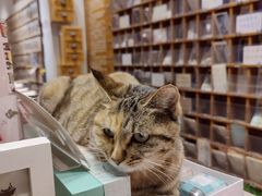 -猫的天空之城概念书店(苏州平江店)